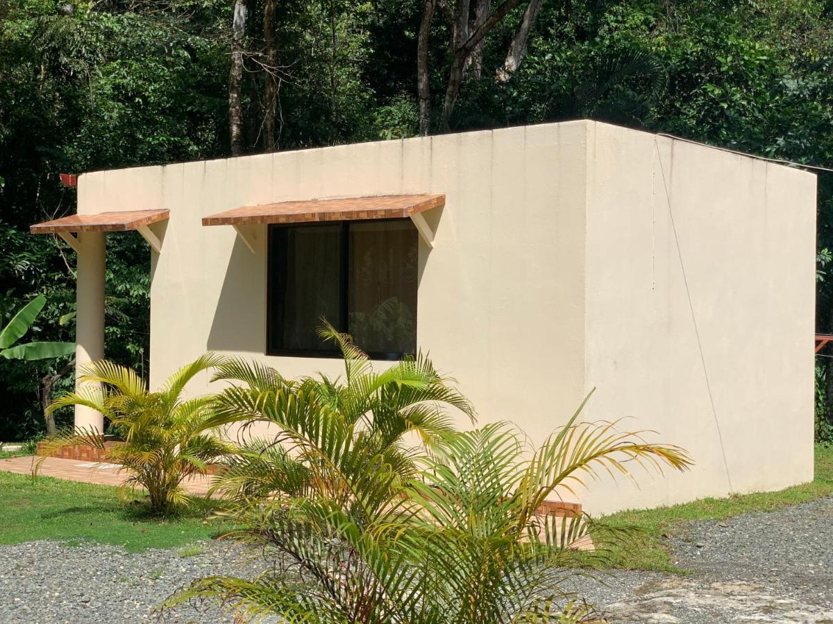 Alma Del Bosque Vacation Home And Apartments Quepos Exterior photo